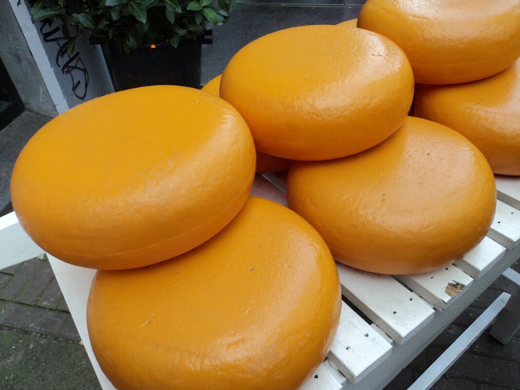 Reading a cheese label: milk, age and what they tell you about the knife you need